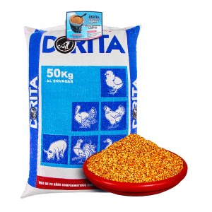 MAIZ GRANO LIMPIO CALIDAD TIPO EXPORTACIÓN